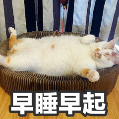 激光洗眼線術(shù)后注意事項(xiàng)