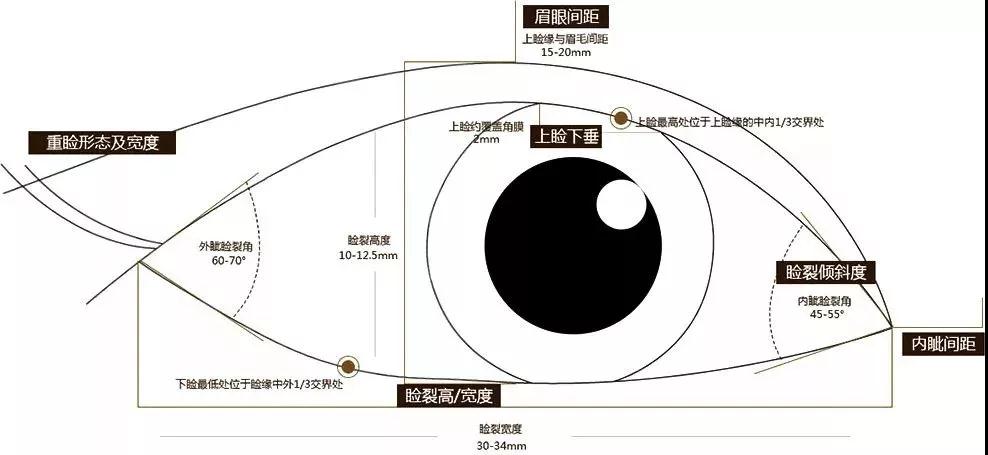 北京郭建玲醫(yī)生科普雙眼皮手術(shù)知識(shí)