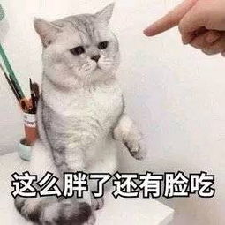 中醫(yī)埋線減肥方式注意