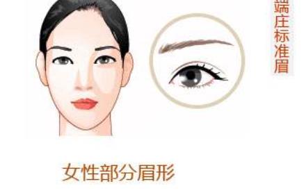 植眉毛脫落
