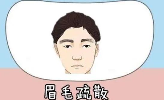 植眉毛脫落