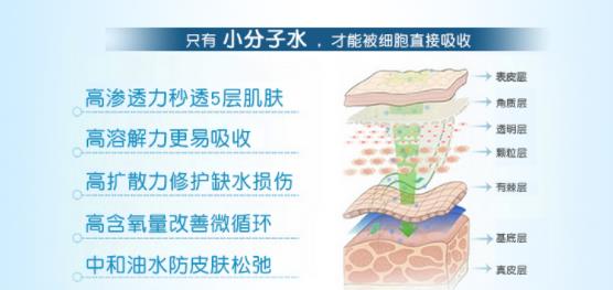 玻尿酸動漫h6.jpg