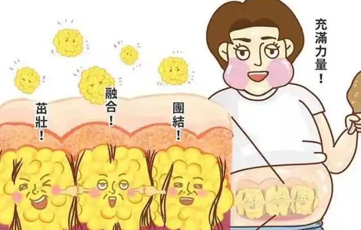吸脂動漫19.jpg