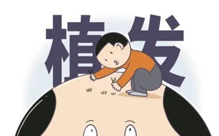 植發(fā)動漫35.jpg