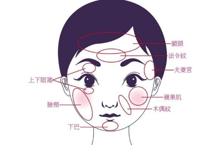 面部填充動(dòng)漫05.jpg