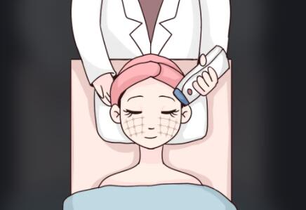 熱瑪吉和歐洲之星哪個果好？二者有什么區(qū)別？