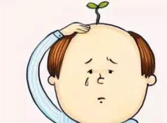植發(fā)動漫.jpg