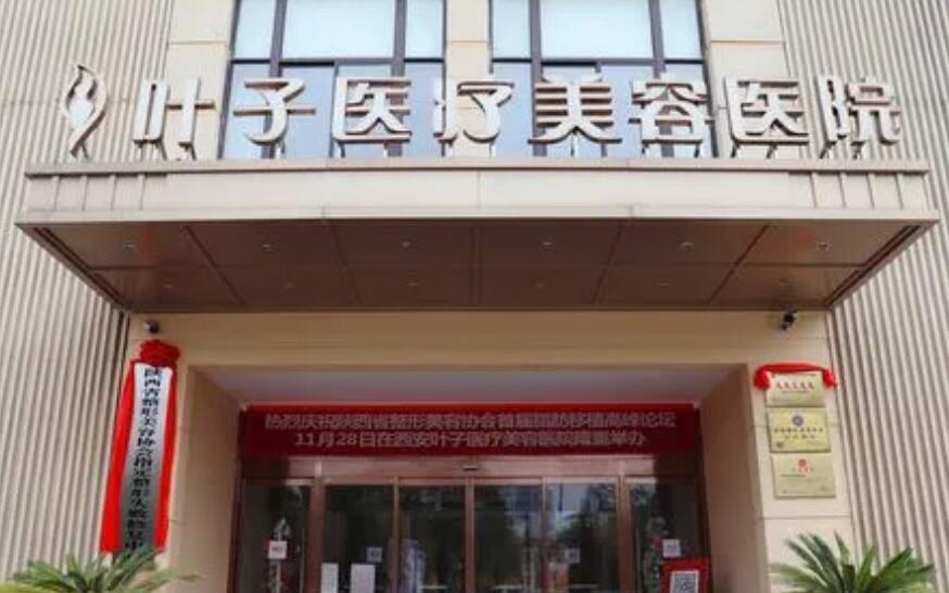 西安葉子醫(yī)療美容醫(yī)院.jpg