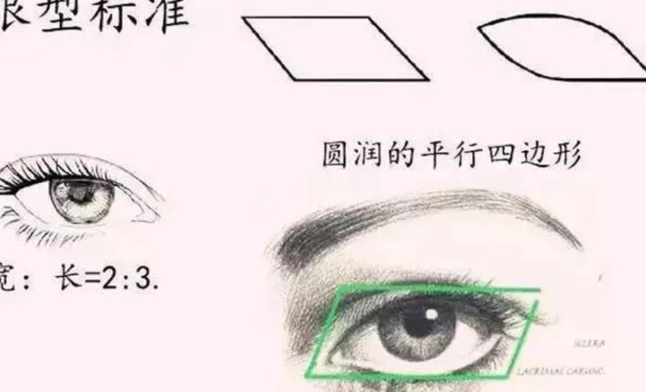 雙眼皮h02.jpg