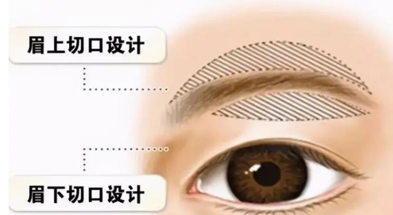 提眉動漫011.jpg