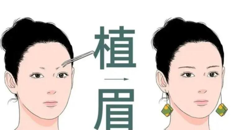植眉動(dòng)漫04.jpg