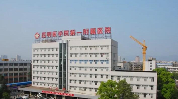昆明公立整形醫(yī)院排名榜單公布！上榜的都是技術(shù)實力一等一的醫(yī)院！