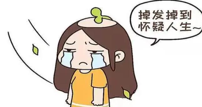 脫發(fā)03.jpg