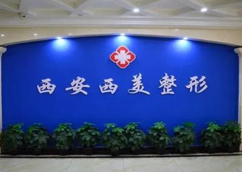 西安整形醫(yī)院排名前十2023榜單揭曉！醫(yī)美10強私立居多！