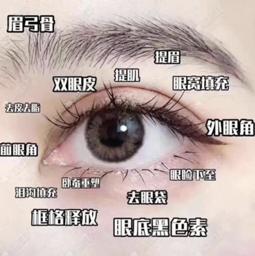 眼部美容項目有哪些？解鎖迷人雙眸的 “變美密碼”