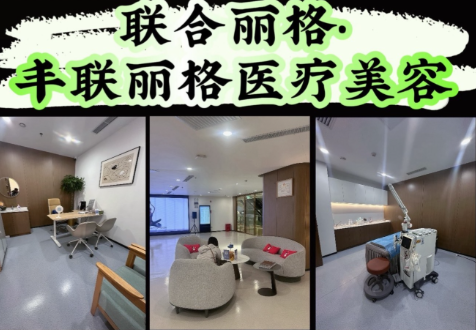 北京豐聯(lián)麗格擅長哪些方面？項目與技術(shù)深度解讀